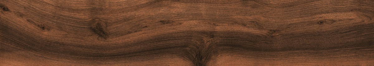 Walnut Tree 20*120