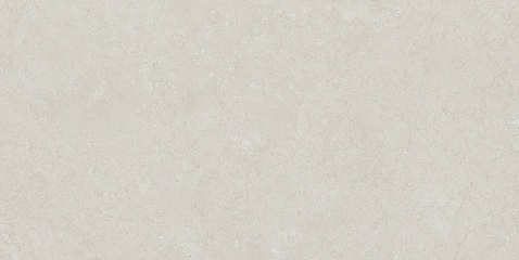  СКГ Натураль (SCG Natural) 120*60 матовый 