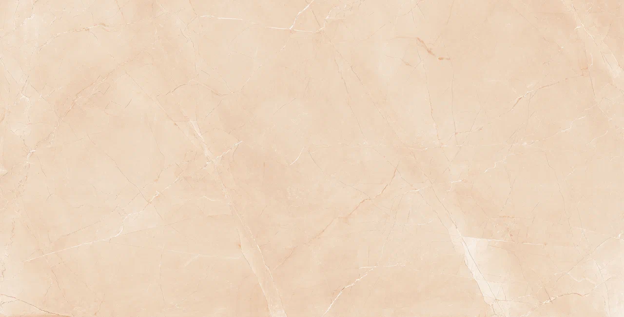 Armani Natural Beige Matt 120*60