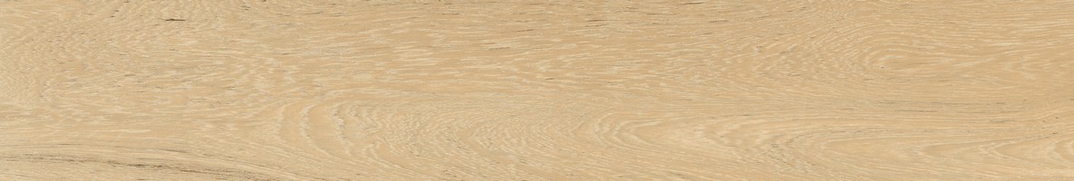 Oakland Honey 20*120