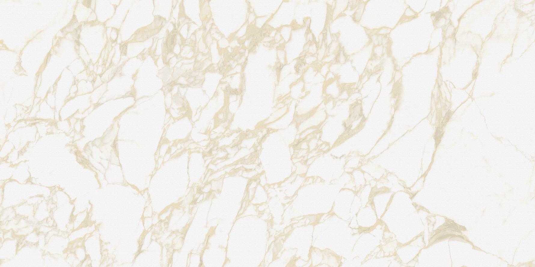  Голд Рав (Gold Raw) 120*60 матовая 
