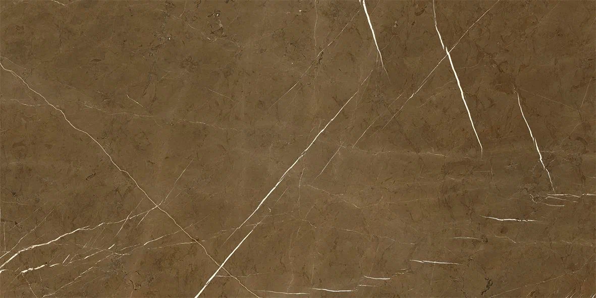 Marquina Mocha 120*60